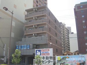 エランビタールⅢ