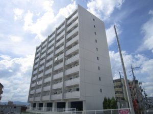 うさぎ　外観