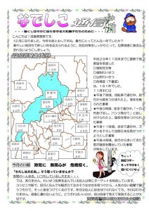 12なでしこ