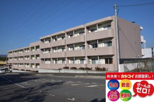 外観 groove