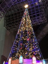 クリスマスが今年もやってくる♪