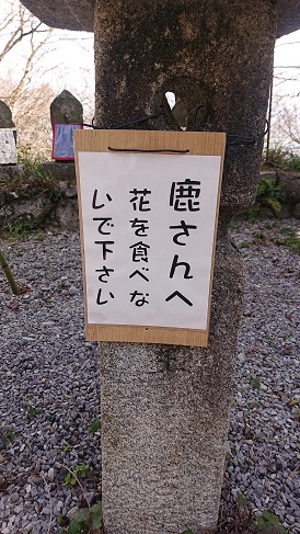 社員でドライブ🚙