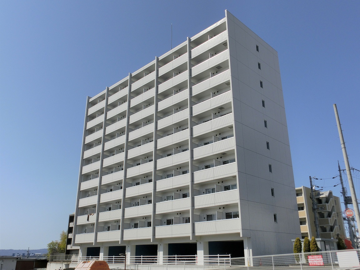 うさぎ　外観