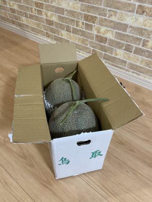 メロン!