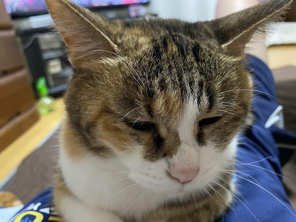 癒し