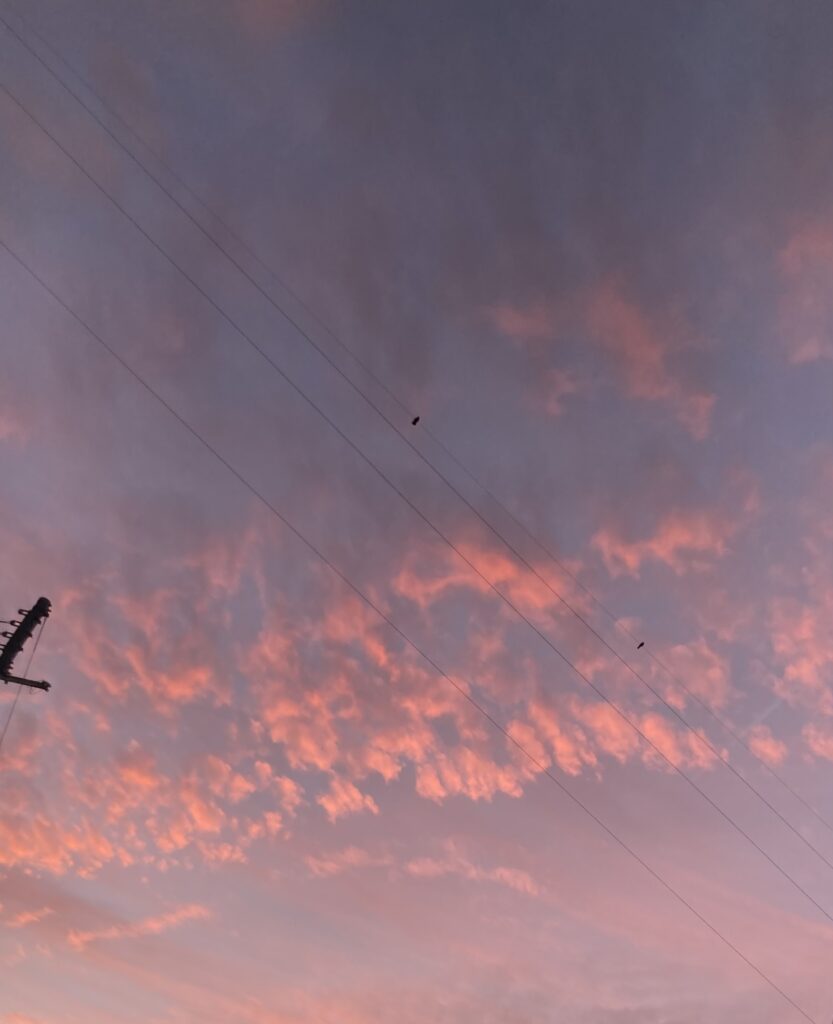 夕暮れ時☆