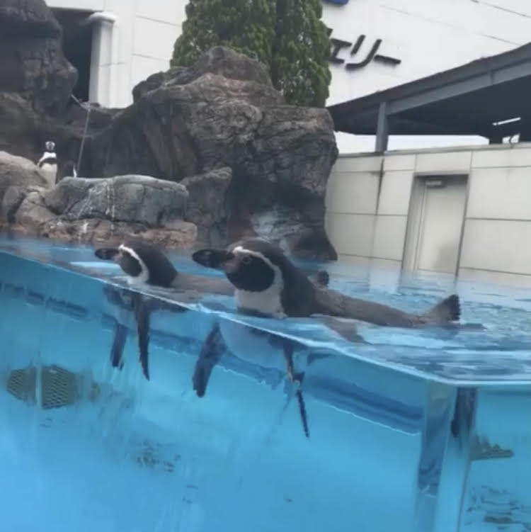 いつかの、、、