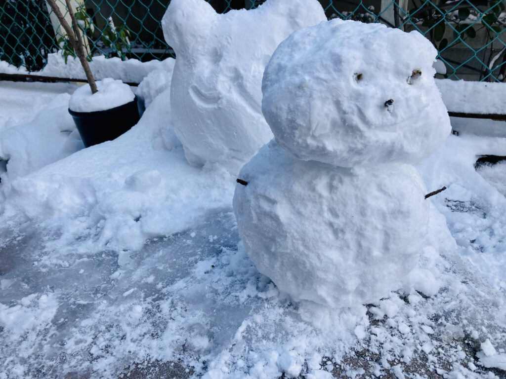 雪だるまつくろ~☆