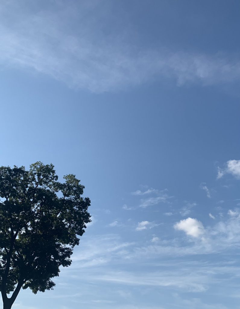 夏の始まり