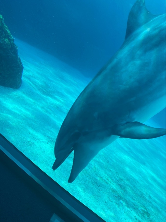 水族館