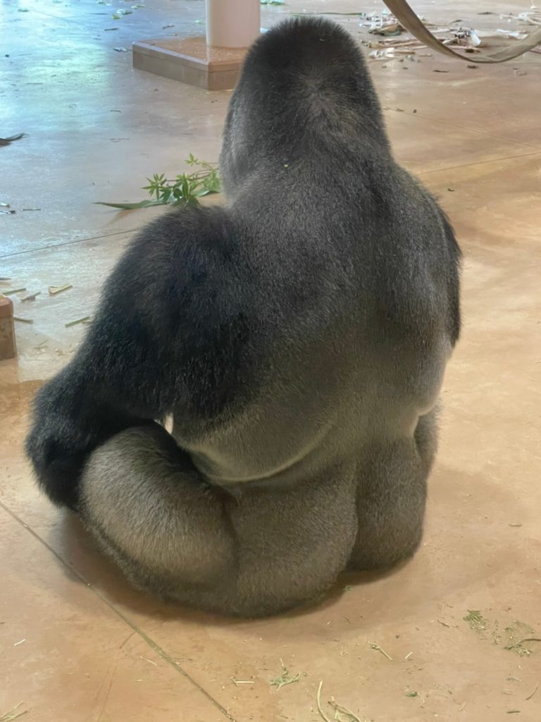 背中で語る