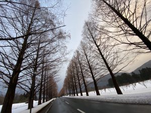 4B259048-2507-417D-8F66-C0ABC8B484EE