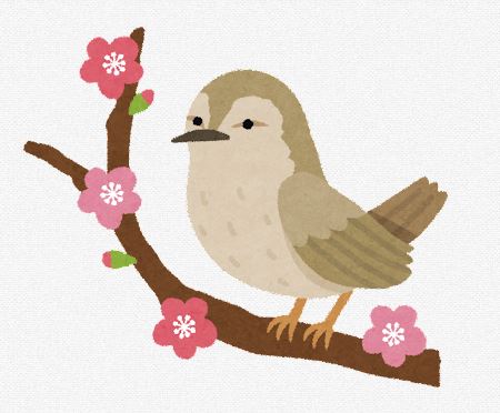 さくらさけ