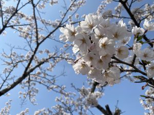 0AA60B5F-2D63-4456-BE12-5765C032812F