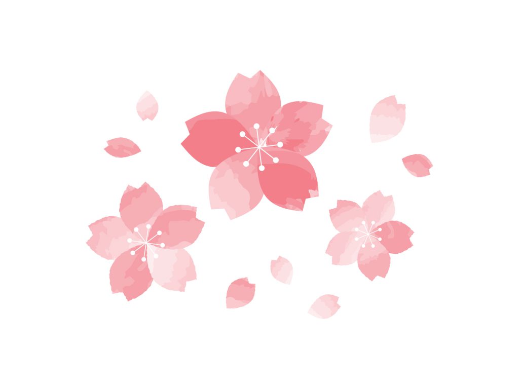 お花見🌸
