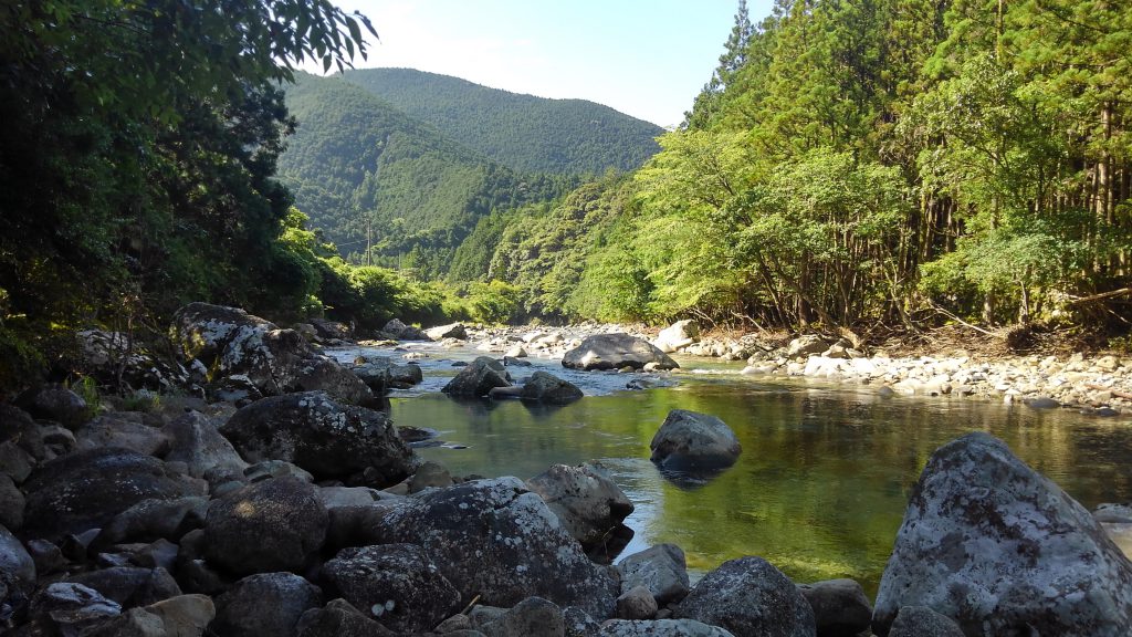 名もなき山の中