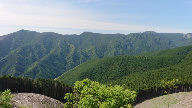 名もなき山の中 その2