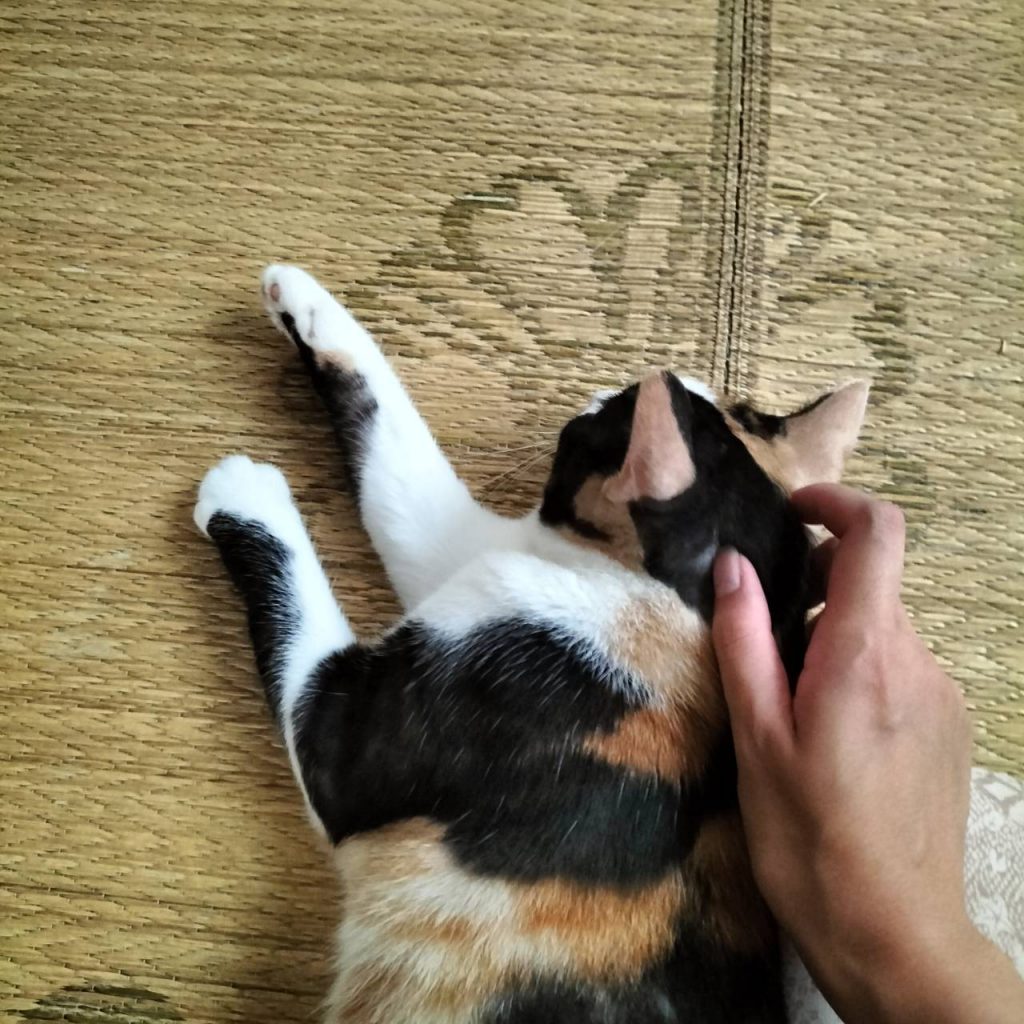 休みの思い出