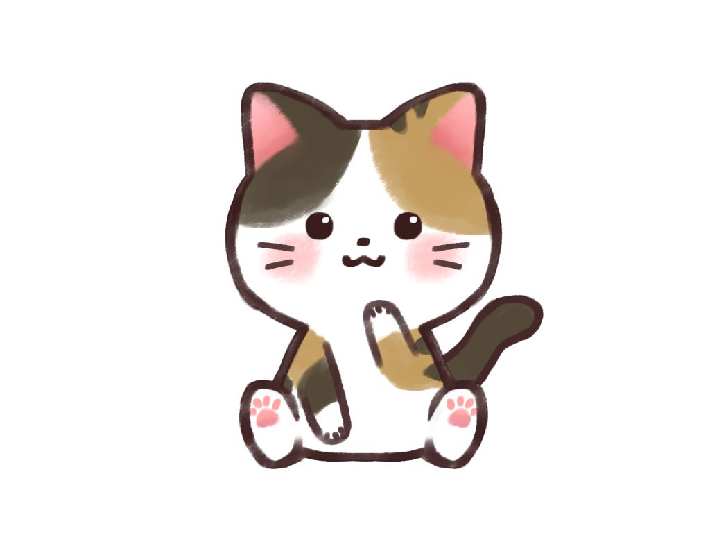 新しい家族🐈