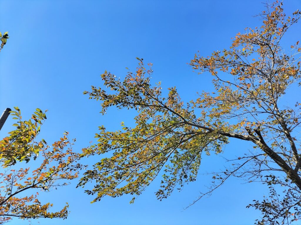 帰省と観光　Part2