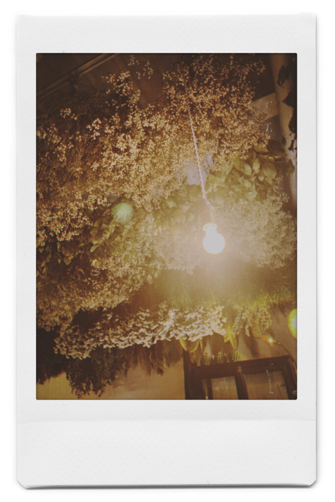 写真アプリ