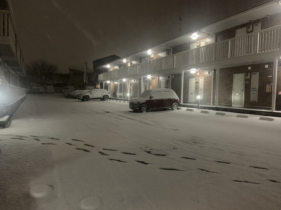#久々の雪