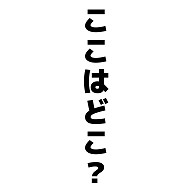 ここはどこ。