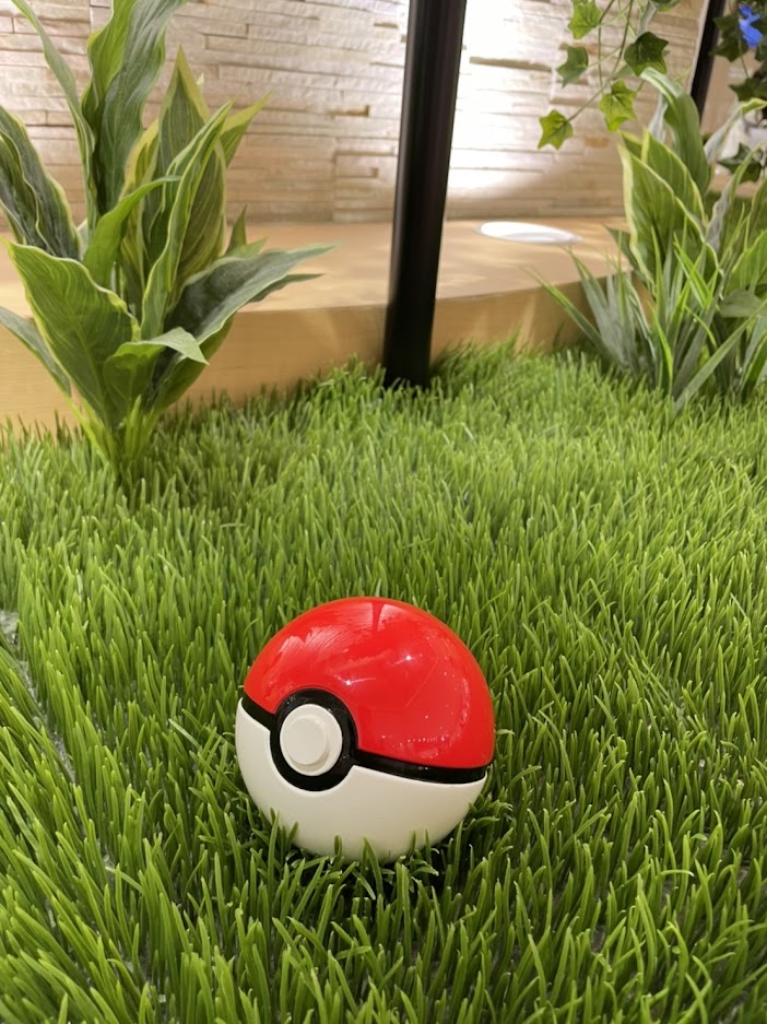 ☆ポケモンマンホール★
