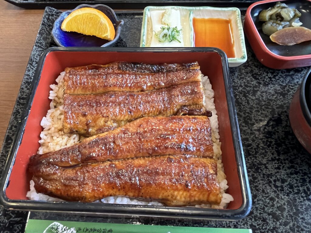 夏だ！鰻だ！部屋探しだ！