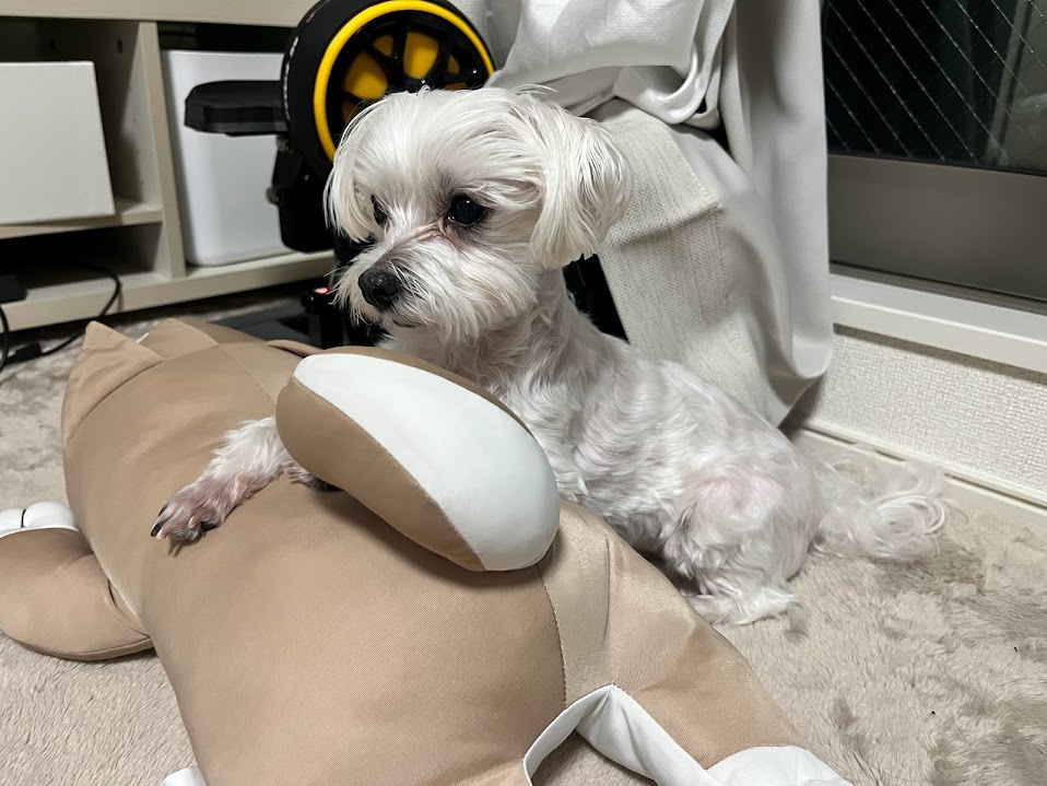 #犬&犬