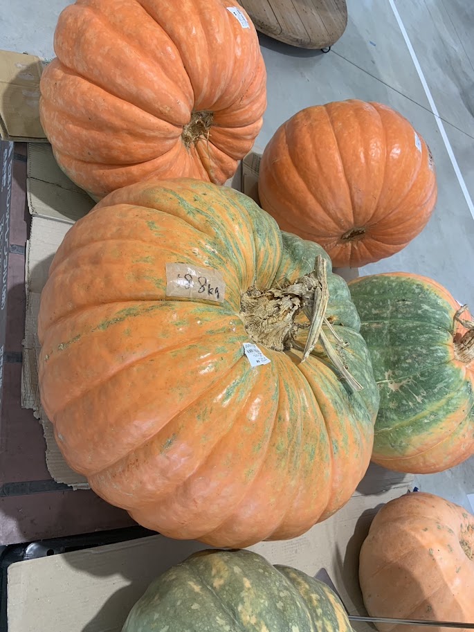 #ハロウィン