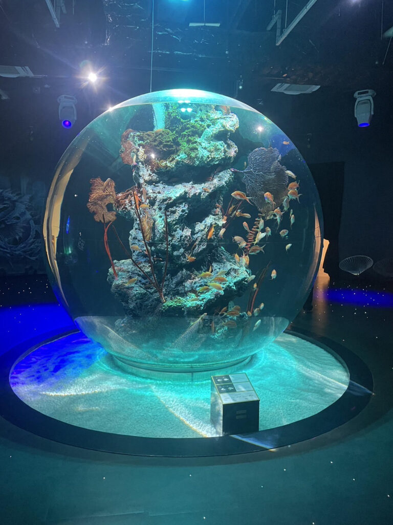 神戸観光☆