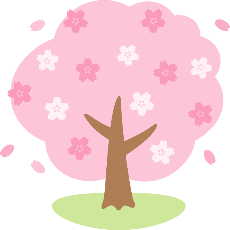 オススメのお部屋のご紹介🌼