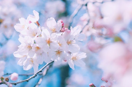 🌸受験生のみなさま必見🌸