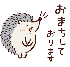 🌟是非ご来店ください🌟